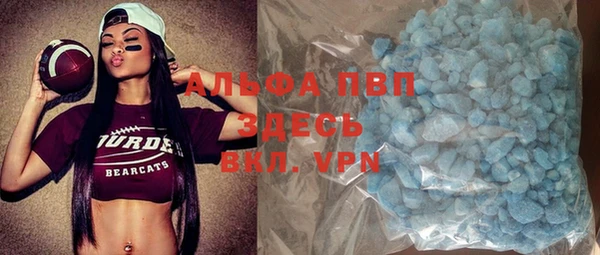 ешки Аркадак